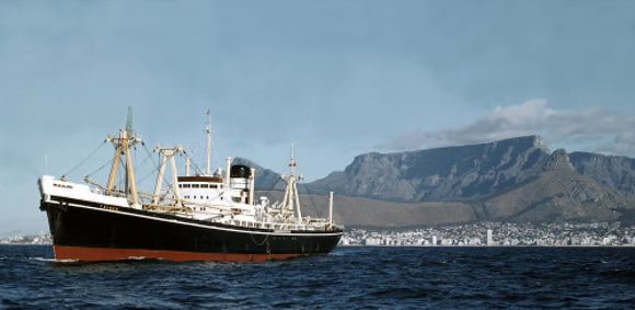 TAIREA at Cape Town