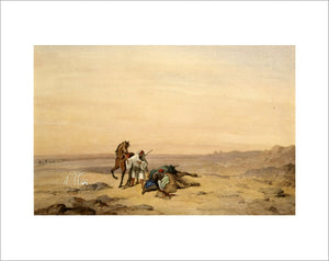 "The Dead Camel"