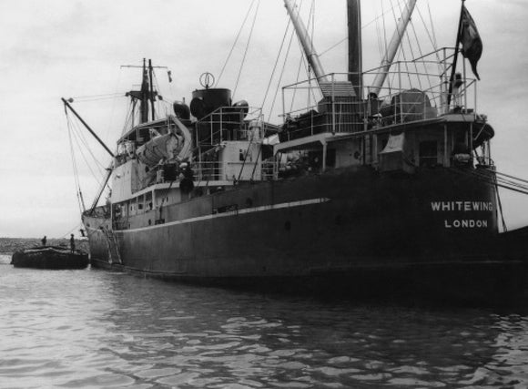 WHITEWING in harbour